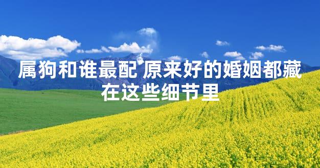 属狗和谁最配 原来好的婚姻都藏在这些细节里